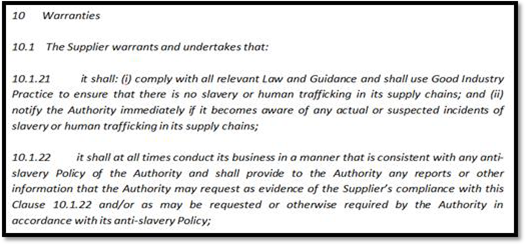 Section 10 (Warranties)